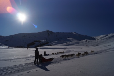 Toussuire Loisirs winter sled dogs Les Sybelles